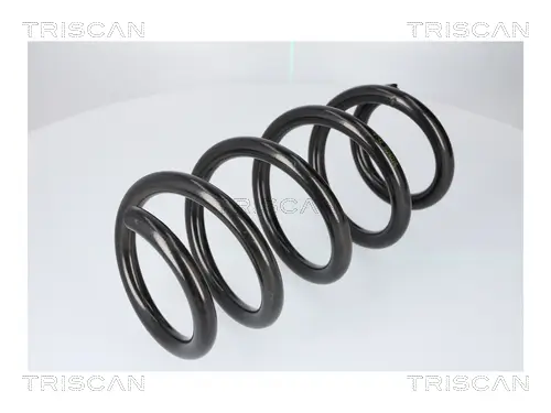 Fahrwerksfeder Hinterachse TRISCAN 8750 8110 Bild Fahrwerksfeder Hinterachse TRISCAN 8750 8110