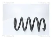 Fahrwerksfeder Hinterachse TRISCAN 8750 8111