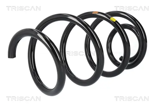 Fahrwerksfeder Vorderachse TRISCAN 8750 8310