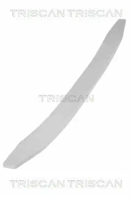 Federnpaket Vorderachse TRISCAN 8765 10009