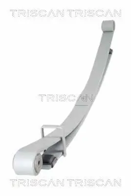 Federnpaket Hinterachse TRISCAN 8765 10011 Bild Federnpaket Hinterachse TRISCAN 8765 10011