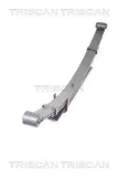 Federnpaket Hinterachse TRISCAN 8765 13025