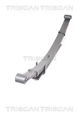 Federnpaket Hinterachse TRISCAN 8765 13025 Bild Federnpaket Hinterachse TRISCAN 8765 13025