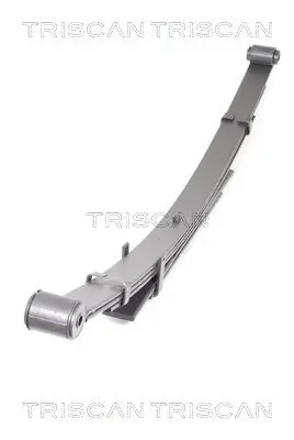 Federnpaket Hinterachse TRISCAN 8765 13026