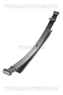 Federnpaket Hinterachse TRISCAN 8765 14011 Bild Federnpaket Hinterachse TRISCAN 8765 14011