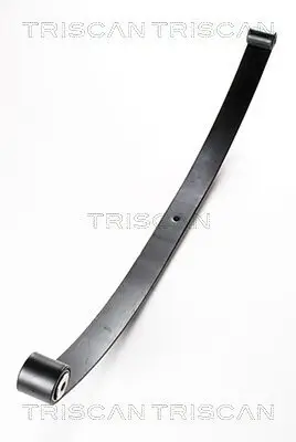 Federnpaket Hinterachse TRISCAN 8765 15001 Bild Federnpaket Hinterachse TRISCAN 8765 15001