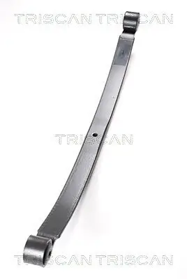 Federnpaket Hinterachse TRISCAN 8765 16027 Bild Federnpaket Hinterachse TRISCAN 8765 16027