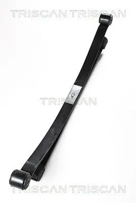 Federnpaket Hinterachse TRISCAN 8765 16028 Bild Federnpaket Hinterachse TRISCAN 8765 16028