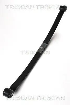 Federnpaket Hinterachse TRISCAN 8765 16029 Bild Federnpaket Hinterachse TRISCAN 8765 16029