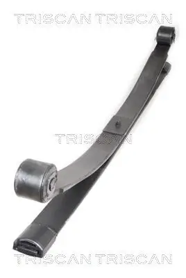 Federnpaket Hinterachse TRISCAN 8765 16036 Bild Federnpaket Hinterachse TRISCAN 8765 16036