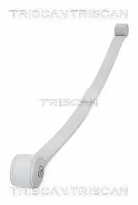 Federnpaket Hinterachse TRISCAN 8765 16057