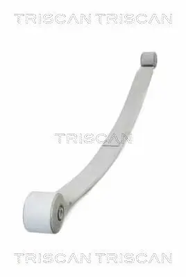 Federnpaket Hinterachse TRISCAN 8765 16058