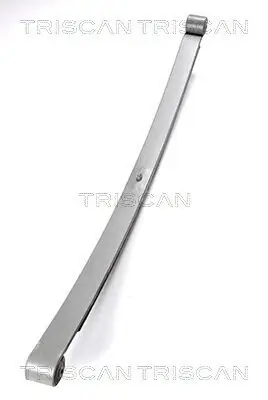 Federnpaket Hinterachse TRISCAN 8765 23017 Bild Federnpaket Hinterachse TRISCAN 8765 23017