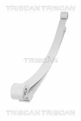 Federnpaket Hinterachse TRISCAN 8765 23026