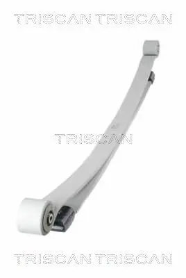 Federnpaket Hinterachse TRISCAN 8765 23035