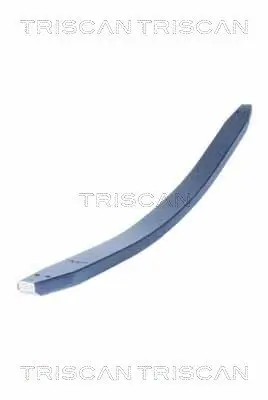 Federnpaket Vorderachse TRISCAN 8765 23039