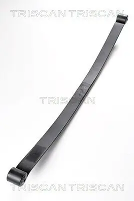 Federnpaket Hinterachse TRISCAN 8765 24006