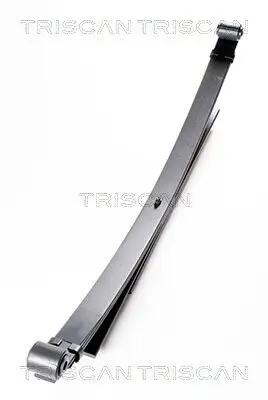 Federnpaket Hinterachse TRISCAN 8765 28001 Bild Federnpaket Hinterachse TRISCAN 8765 28001