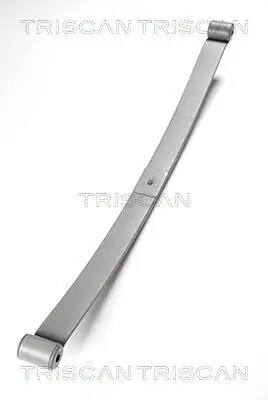 Federnpaket Hinterachse TRISCAN 8765 28002 Bild Federnpaket Hinterachse TRISCAN 8765 28002