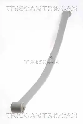 Federnpaket Hinterachse TRISCAN 8765 29019 Bild Federnpaket Hinterachse TRISCAN 8765 29019