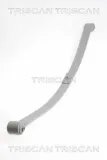 Federnpaket Hinterachse TRISCAN 8765 29020
