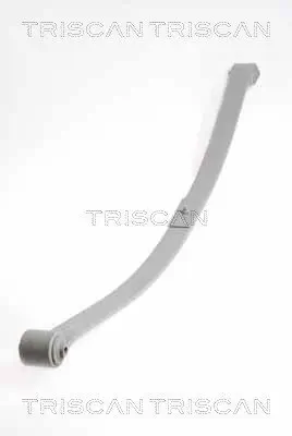 Federnpaket Hinterachse TRISCAN 8765 29020 Bild Federnpaket Hinterachse TRISCAN 8765 29020