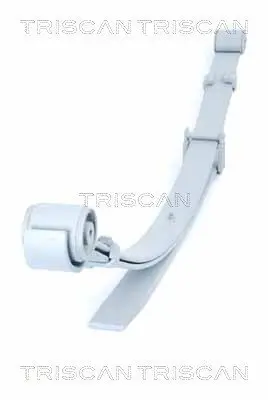 Federnpaket Hinterachse TRISCAN 8765 29021