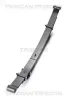 Federnpaket Hinterachse TRISCAN 8765 42009