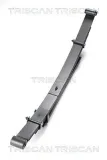 Federnpaket Hinterachse TRISCAN 8765 42009