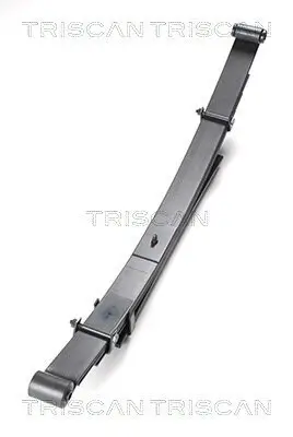 Federnpaket Hinterachse TRISCAN 8765 42009 Bild Federnpaket Hinterachse TRISCAN 8765 42009