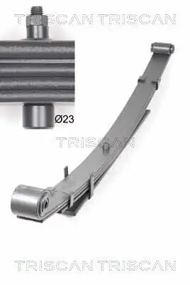 Federnpaket Hinterachse TRISCAN 8765 43003