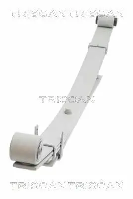 Federnpaket Hinterachse TRISCAN 8765 43004