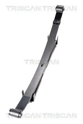 Federnpaket Hinterachse TRISCAN 8765 69002