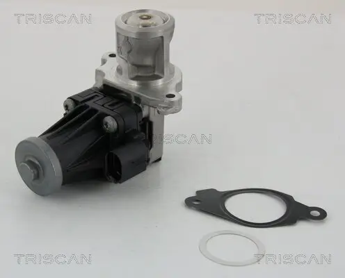 AGR-Ventil TRISCAN 8813 10004 Bild AGR-Ventil TRISCAN 8813 10004
