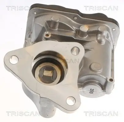 AGR-Ventil TRISCAN 8813 10055 Bild AGR-Ventil TRISCAN 8813 10055