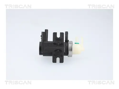 Druckwandler, Abgassteuerung TRISCAN 8813 10058