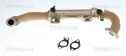 Kühler, Abgasrückführung TRISCAN 8813 10059