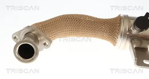 Kühler, Abgasrückführung TRISCAN 8813 10059 Bild Kühler, Abgasrückführung TRISCAN 8813 10059