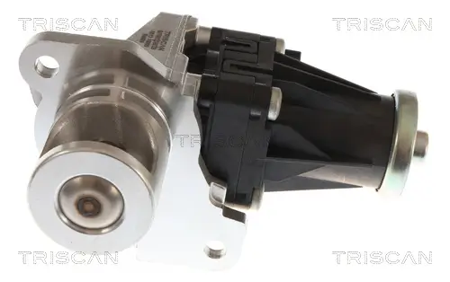 AGR-Ventil TRISCAN 8813 10060