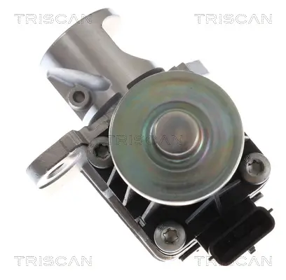 AGR-Ventil TRISCAN 8813 10060 Bild AGR-Ventil TRISCAN 8813 10060