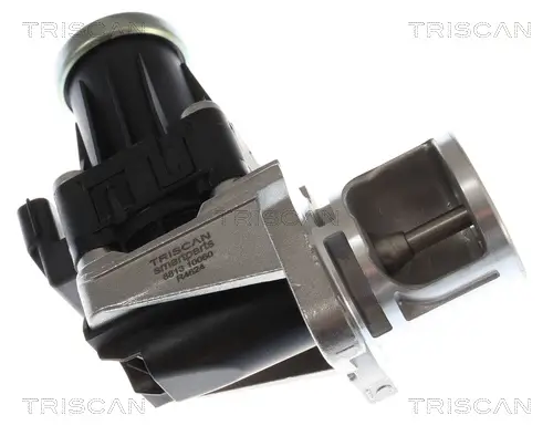 AGR-Ventil TRISCAN 8813 10060 Bild AGR-Ventil TRISCAN 8813 10060