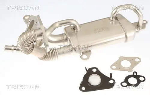 Kühler, Abgasrückführung TRISCAN 8813 10061