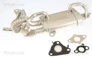 Kühler, Abgasrückführung TRISCAN 8813 10061