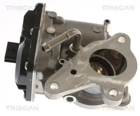 AGR-Ventil TRISCAN 8813 10116 Bild AGR-Ventil TRISCAN 8813 10116