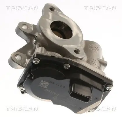 AGR-Ventil TRISCAN 8813 10116 Bild AGR-Ventil TRISCAN 8813 10116