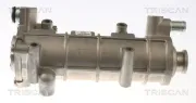 Kühler, Abgasrückführung TRISCAN 8813 10117