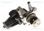 AGR-Ventil TRISCAN 8813 10119