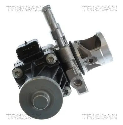 AGR-Ventil TRISCAN 8813 10119 Bild AGR-Ventil TRISCAN 8813 10119