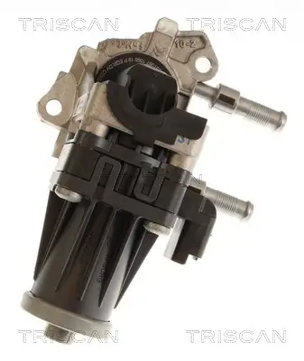 AGR-Ventil TRISCAN 8813 10119 Bild AGR-Ventil TRISCAN 8813 10119