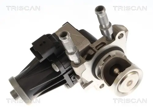 AGR-Ventil TRISCAN 8813 10119 Bild AGR-Ventil TRISCAN 8813 10119